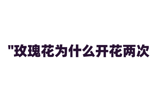"玫瑰花为什么开花两次？"